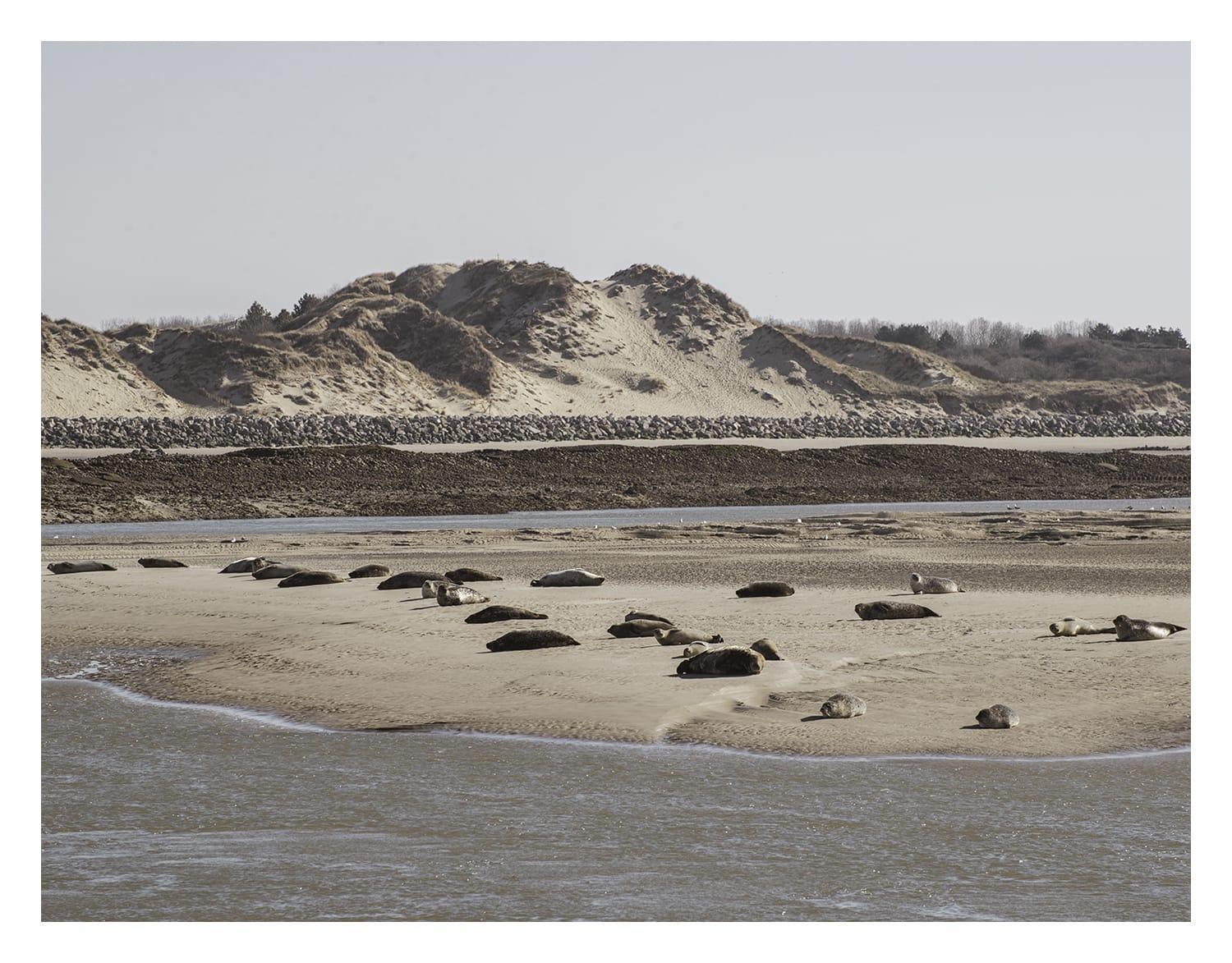 Cottage Proche Du Bord De Mer Et Au Coeur Des Dunes แมร์ลิมงต์ ภายนอก รูปภาพ